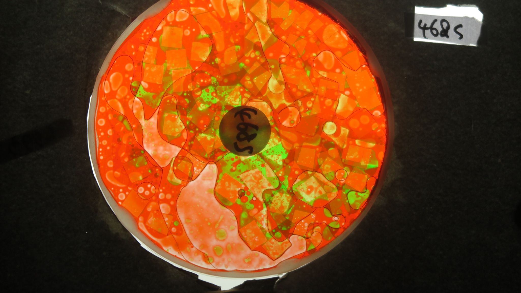 BV4685 bubble vision oil wheel